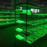 Wangsida Lighting company overview - view 4 thumbnail