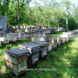 304ss Honey Processing Plant, Honey Concentrating Filter Machine thumbnail-4