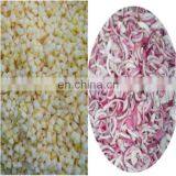 WT Series Vegetable Cutting Machine thumbnail-4