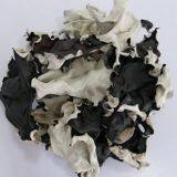Dried White Back Black Fungus Mushroom Slices thumbnail-3