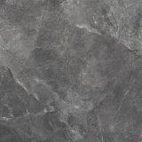 Fullbody Tiles / Glazed Tiles 800X800 thumbnail-4