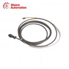 Bently Nevada 16710-14 thumbnail-4