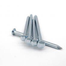 Verzinkte Bootsnägel mit quadratischem Schaft für Schiffs-Holzarbeiten thumbnail-3