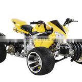 110cc ATV with reverse gear with EPA LD-ATV341B-1