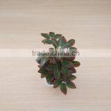 Outdoor Bonsai Rose Blossom Tree,mini Fake Agave Plant Treens thumbnail-1