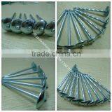 China 1 Lb. Electro Galvanized Roof Nail