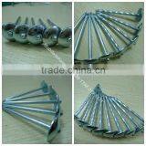 china 1 Lb. Electro Galvanized roof nail