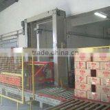 Case Palletizer thumbnail-1