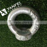 Drop Forged Din582 Eye Bolt and Nut