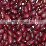 Red Kidney Beans With Japanese Type