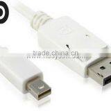 Mini DisplayPort to DisplayPort Cable