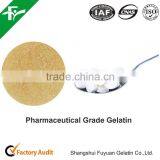 HALAL/KOSHER High Bloom Gelatin,pharmaceutical Gelatin/medical Gelatin China Plant thumbnail-3