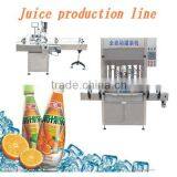 Juice filling production line