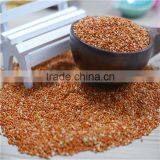 Well Chosen Yellow Millet in Husk thumbnail-2