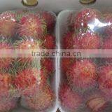 Fresh Rambutan Best Price and High Quality From Vietnam