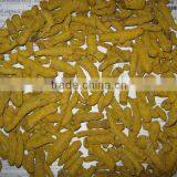 TURMERIC FINGER thumbnail-5