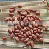 New Crops Red Skin Peanut Kernel thumbnail-5