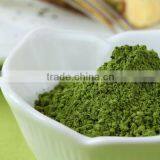 High Quality Matcha Green Tea Powder USDA Certified Wholesale Price