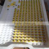 Automatic Poultry Water Nipples for Chickens