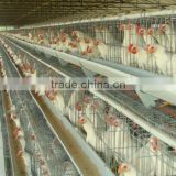 poultry cages