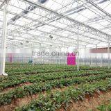 Exhaust Fan/ Industrial Exhaust Fan/ventialtion Fans for Warehouse Workshop thumbnail-6