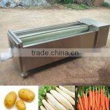 Carrot Washing Equipment Potato Peeling Machine Manufacturer thumbnail-1