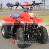 Popular CE Approved 50cc/70cc/90cc/110cc Optional ATV Quad (AT0501) thumbnail-4