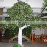 Whole Sale Artificial Birch Tree for Decoration thumbnail-4