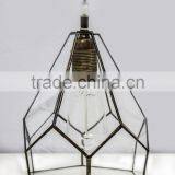 Edison Bulb Clear Simple Lamp Glass Terrarium thumbnail-2