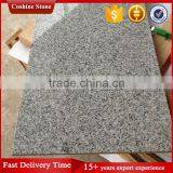 Hubei G603 Bianco Crystal Granite With Economic Price thumbnail-1