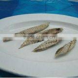 Frozen Bonito Fish Flake thumbnail-1