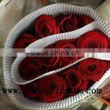 Wholesale Holland Roses Fresh Jasmine Flowers Carola for Wedding Decoration thumbnail-6