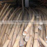 Manau Cane 30MM thumbnail-1