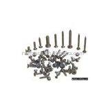 Stainless Steel Screws thumbnail-1
