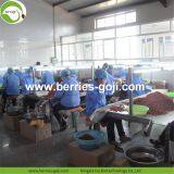 Factory Supply New Harvest Dried Goji Berries thumbnail-4