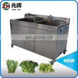 Wholesale Small Blueberry Apple Fruit Citrus Washer Machine thumbnail-6
