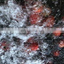 PLC Fully Automatic Vegetable Ginger and Fruit Washing Machine Vegetable Wash Machine Fruit thumbnail-3