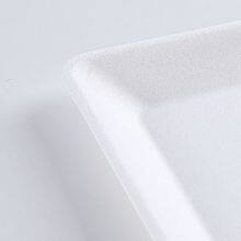 Disposable Biodegradable 6 INCH Square Plate Take Away Sugarcane thumbnail-4