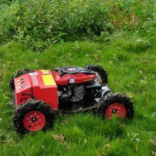 Low Price Radio Control Lawn Mower thumbnail-3