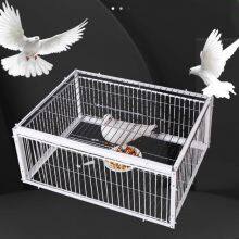 High Quality Metal Bird Pigeon Trap Cage With Metal Wire Door Iron Animal Trap thumbnail-2