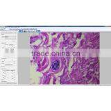 ZX-117M(03) Professional Biological Microscope thumbnail-4