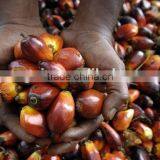 Professional Palm Oil Fractionation Line From Zhengzhou thumbnail-3