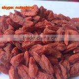 Ningxia Goji Berry