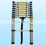 Telescopic Aluminum Ladder