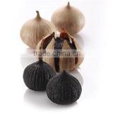 Vietnam Good Healthy Balck Single Bulb Garlic