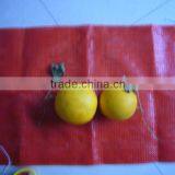 Vegetable Plastic Mesh Bag/string Bag/plastic Bag/packing Bag for Sale