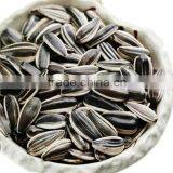 Exporting 363 Sunflower Seeds With Good Price thumbnail-2