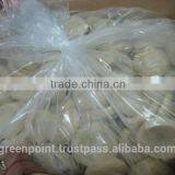 Frozen Artichokes thumbnail-2