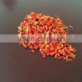2016 China Dehydrated Paprika (Grade A) thumbnail-2