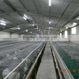 Flat Deck Rabbit Cage